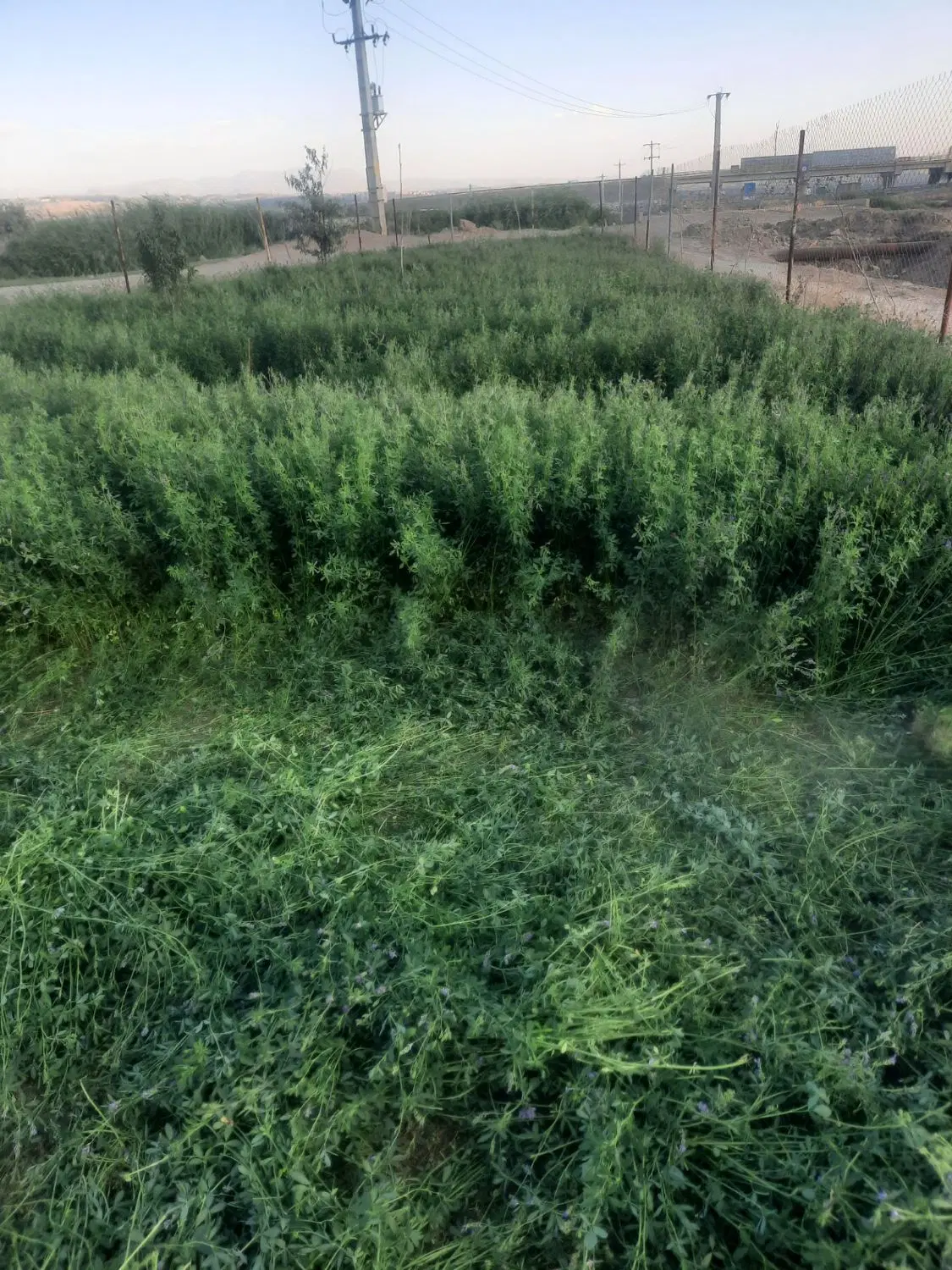 زمین بر اتوبان