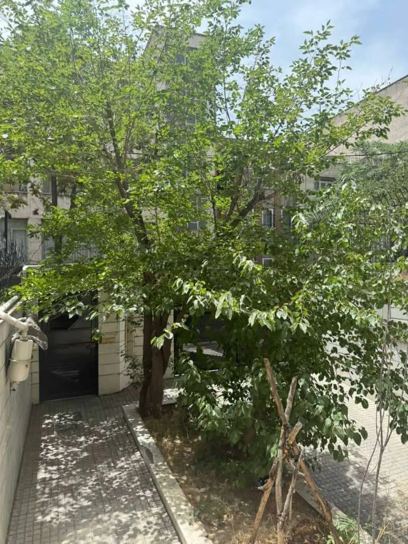 اجاره آپارتمان