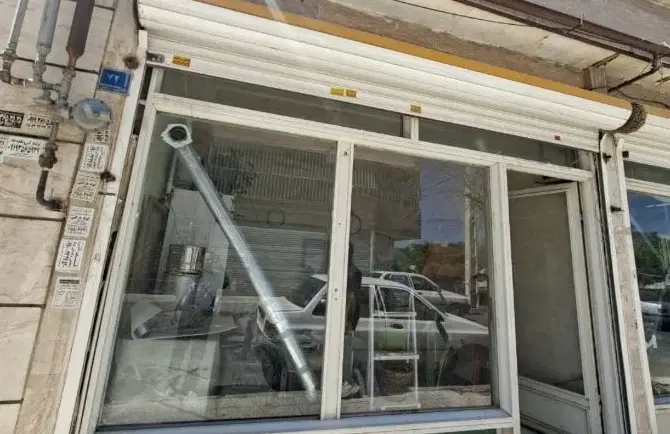 در خیابان  درختی  مناسب برای کلیه مشاغل
