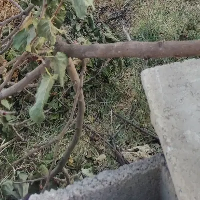 182 متر پشت شرکت رنا