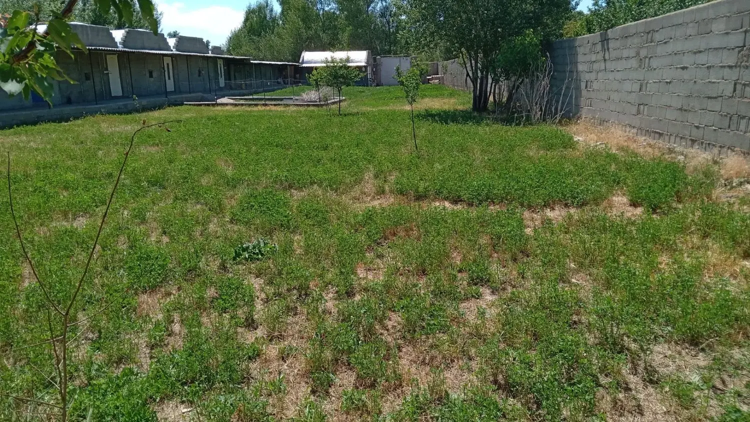 زمین مسکونی وکشاورزی