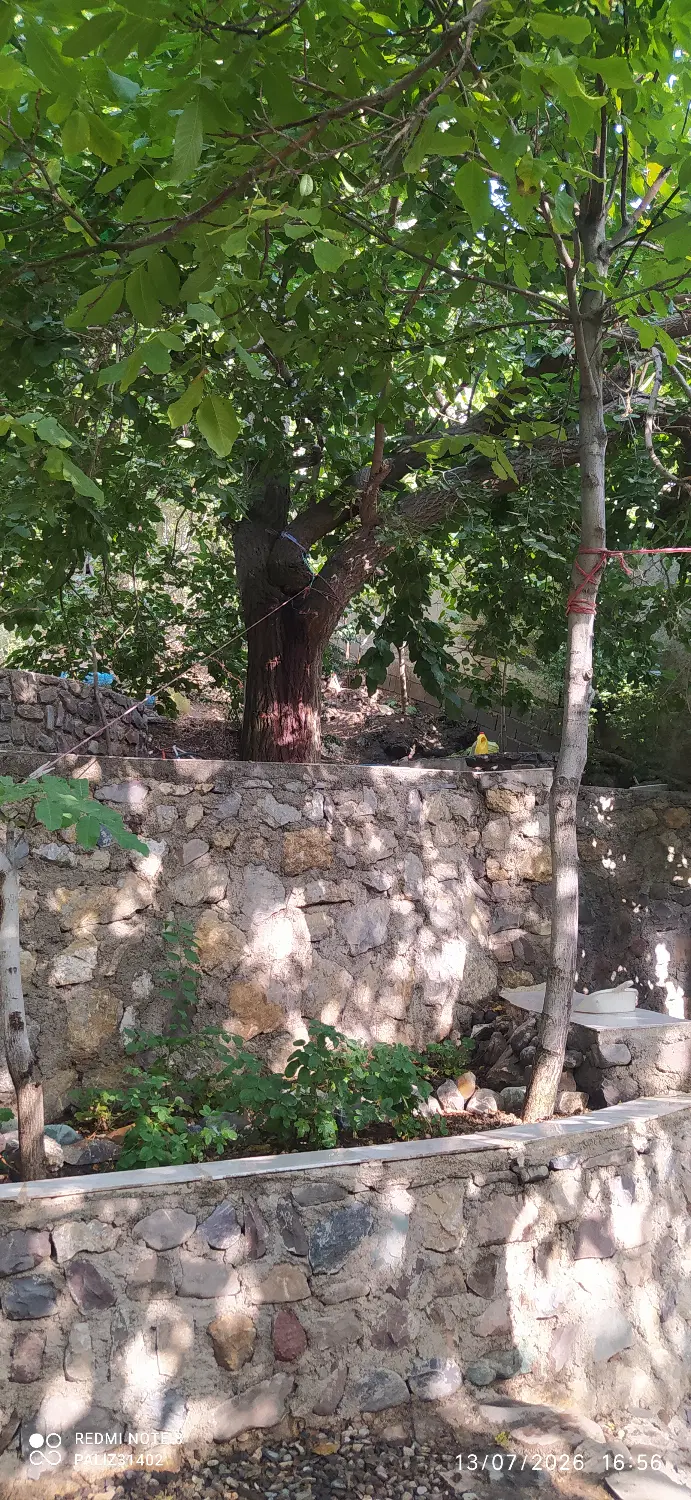 تنهاتر زمین آماده ساخت با واحد مسکونی