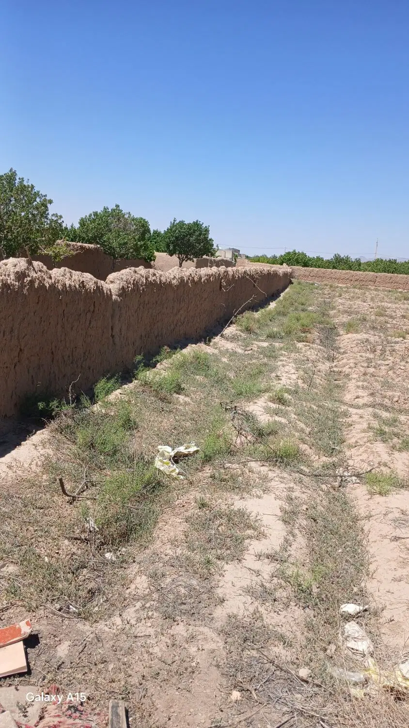 فروش ۳ جریب باغ