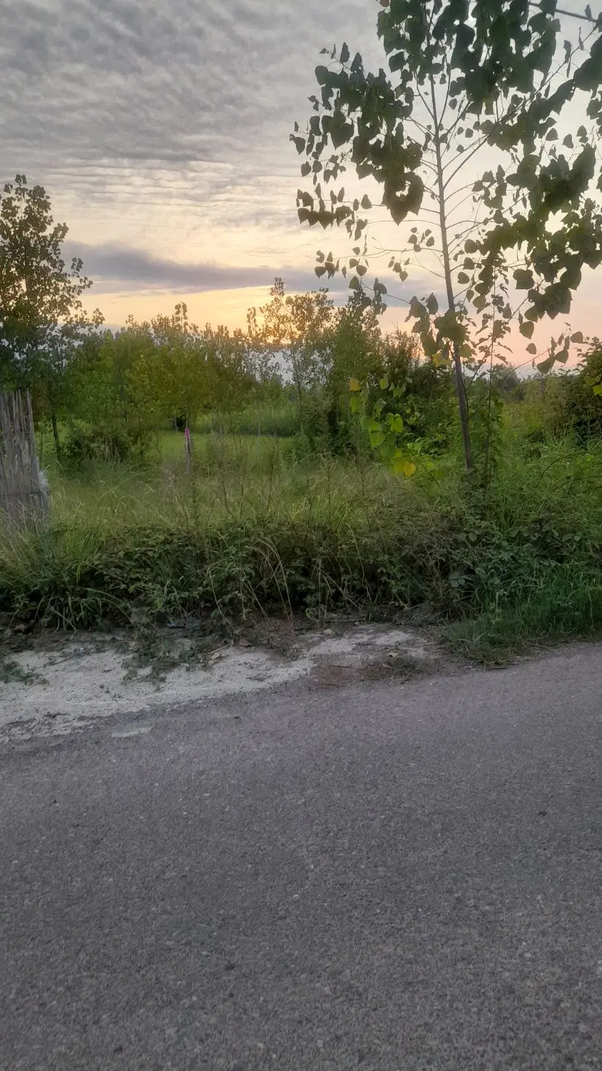 فروش زمین سیصد متری سنگر روستای دلچه
