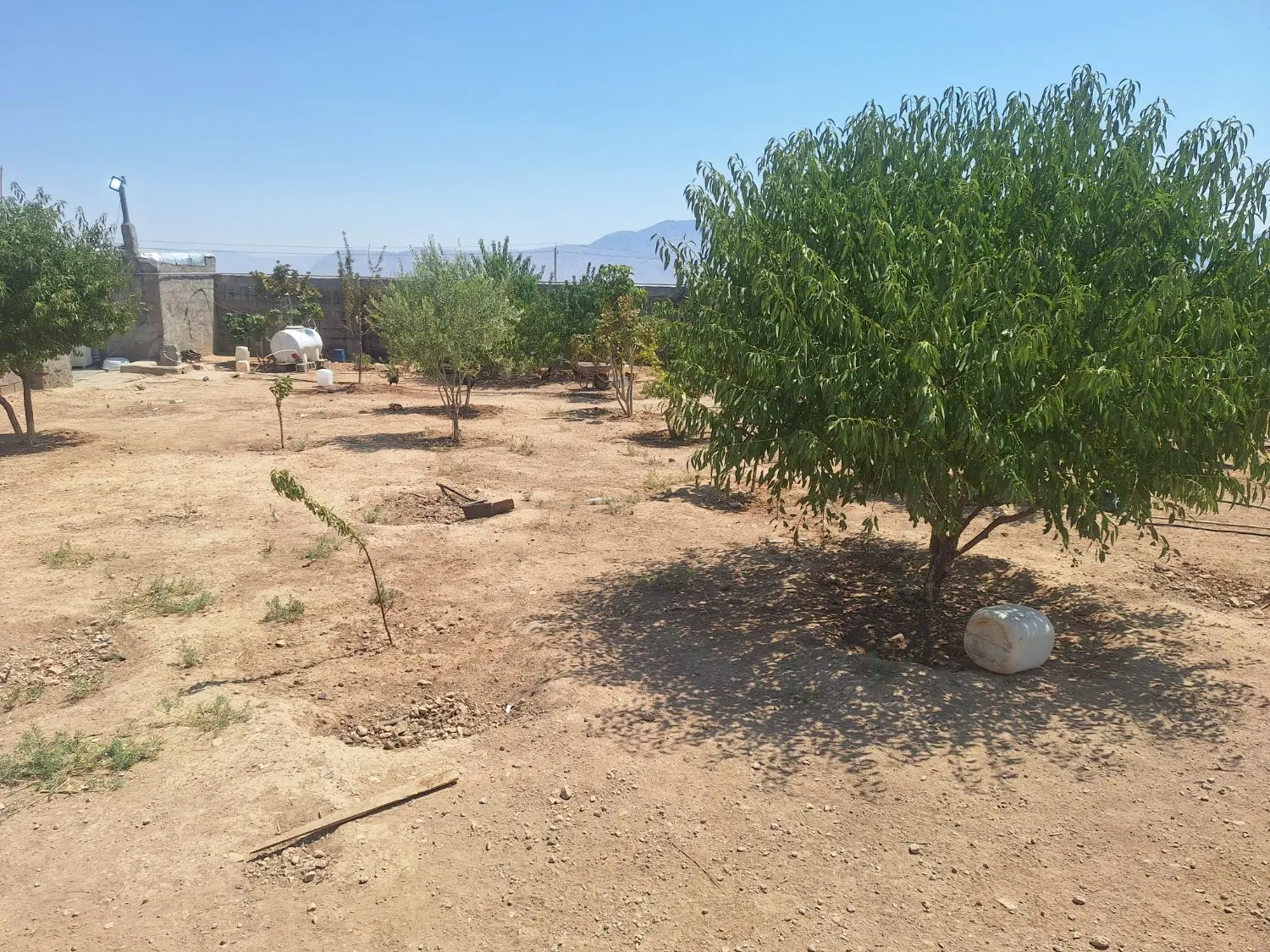 گله دانی و باغچه