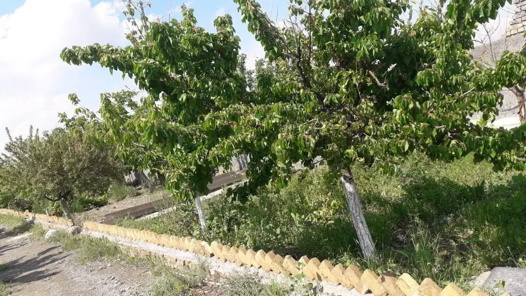 باغ ۸۶۰ مترکاربری مسکونی بر ۳۵ متری