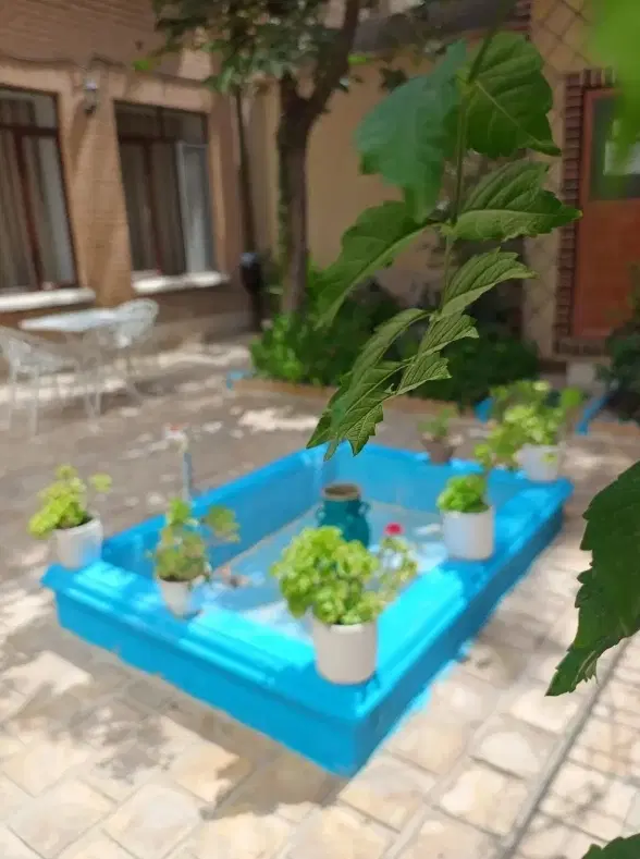 زمین وحیدیه