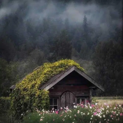 خانه اجاره‌ای