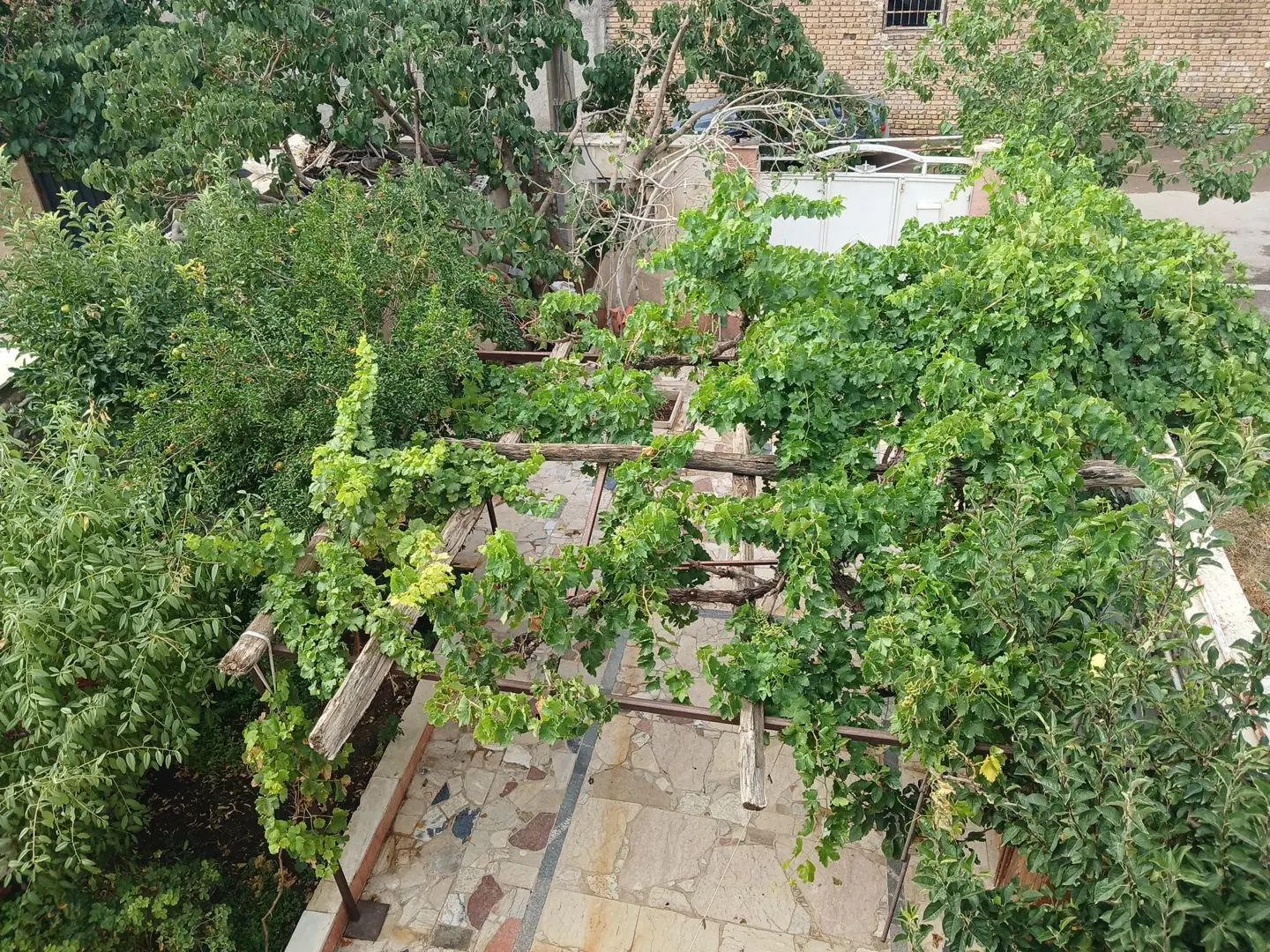 اجاره منزل