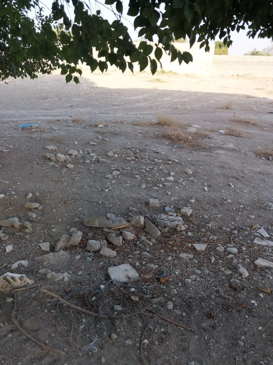 زمین مسکونی