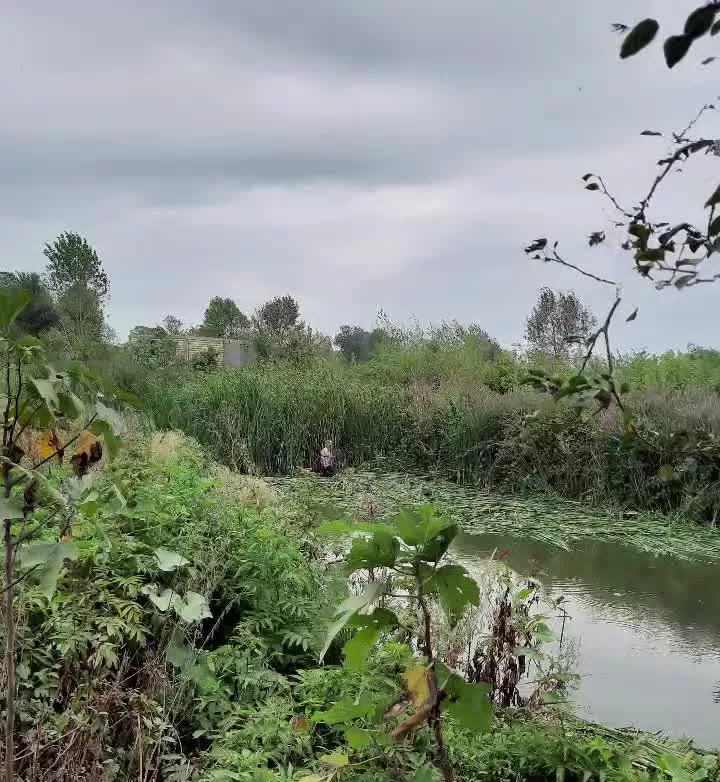شریک سرمایه گذار