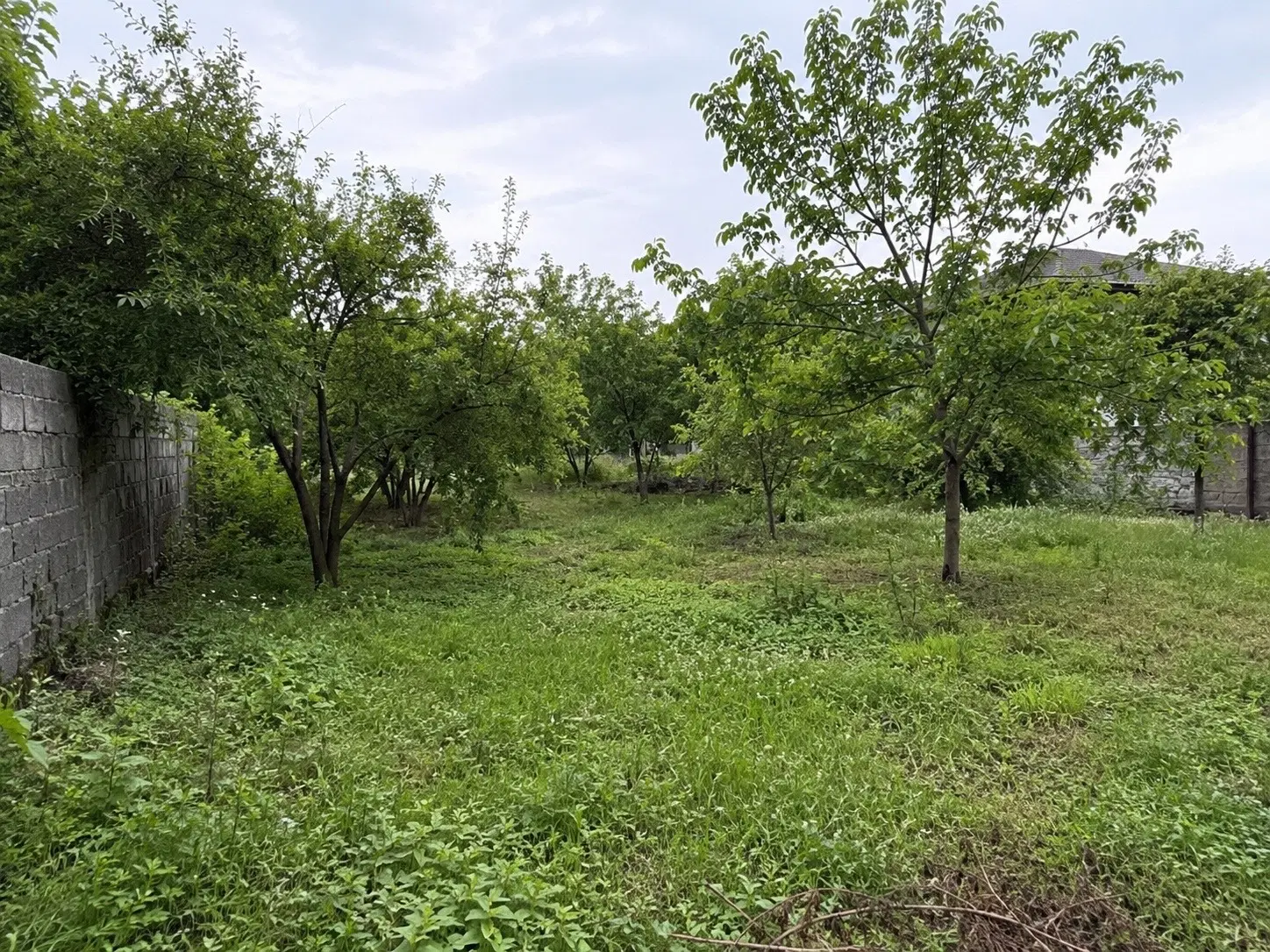 فروش زمین ۳۵۰ متری