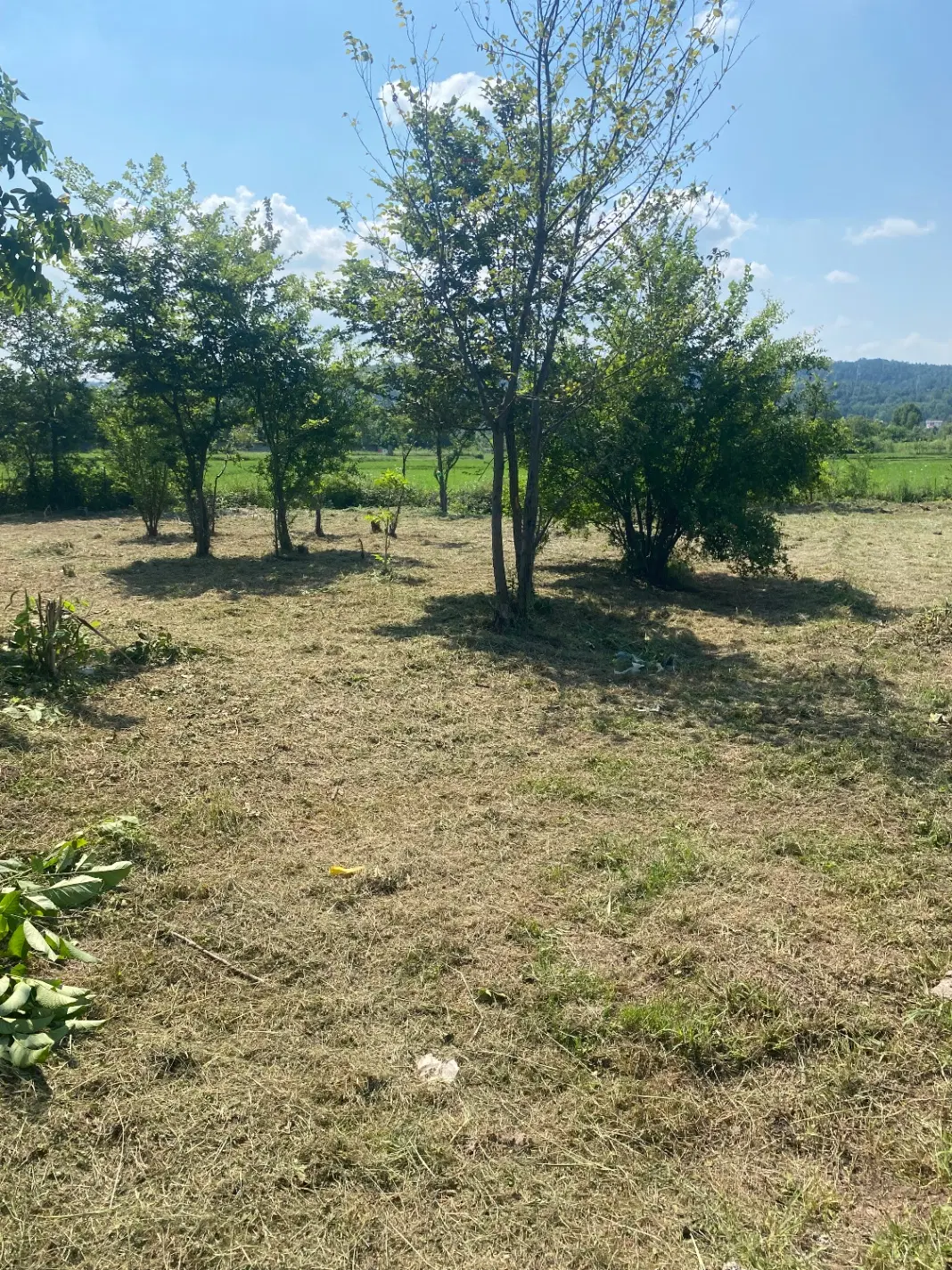 زمین مسکونی اقساط ۶ماهه سراوان رشت