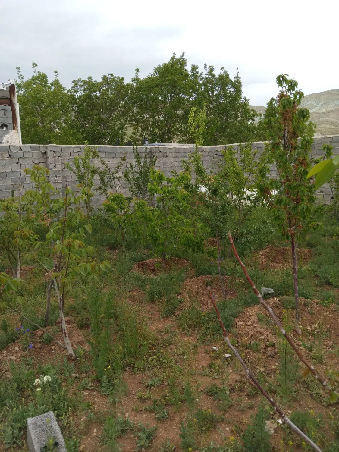 فروش یک باب خانه ویلا