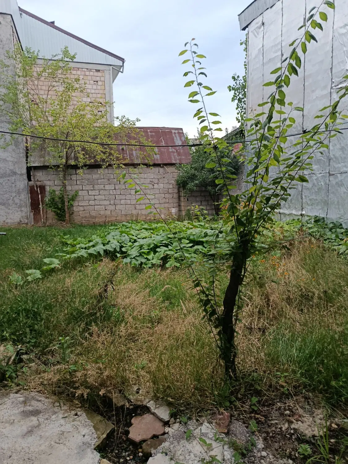 زمین فوق‌العاده کاسبی