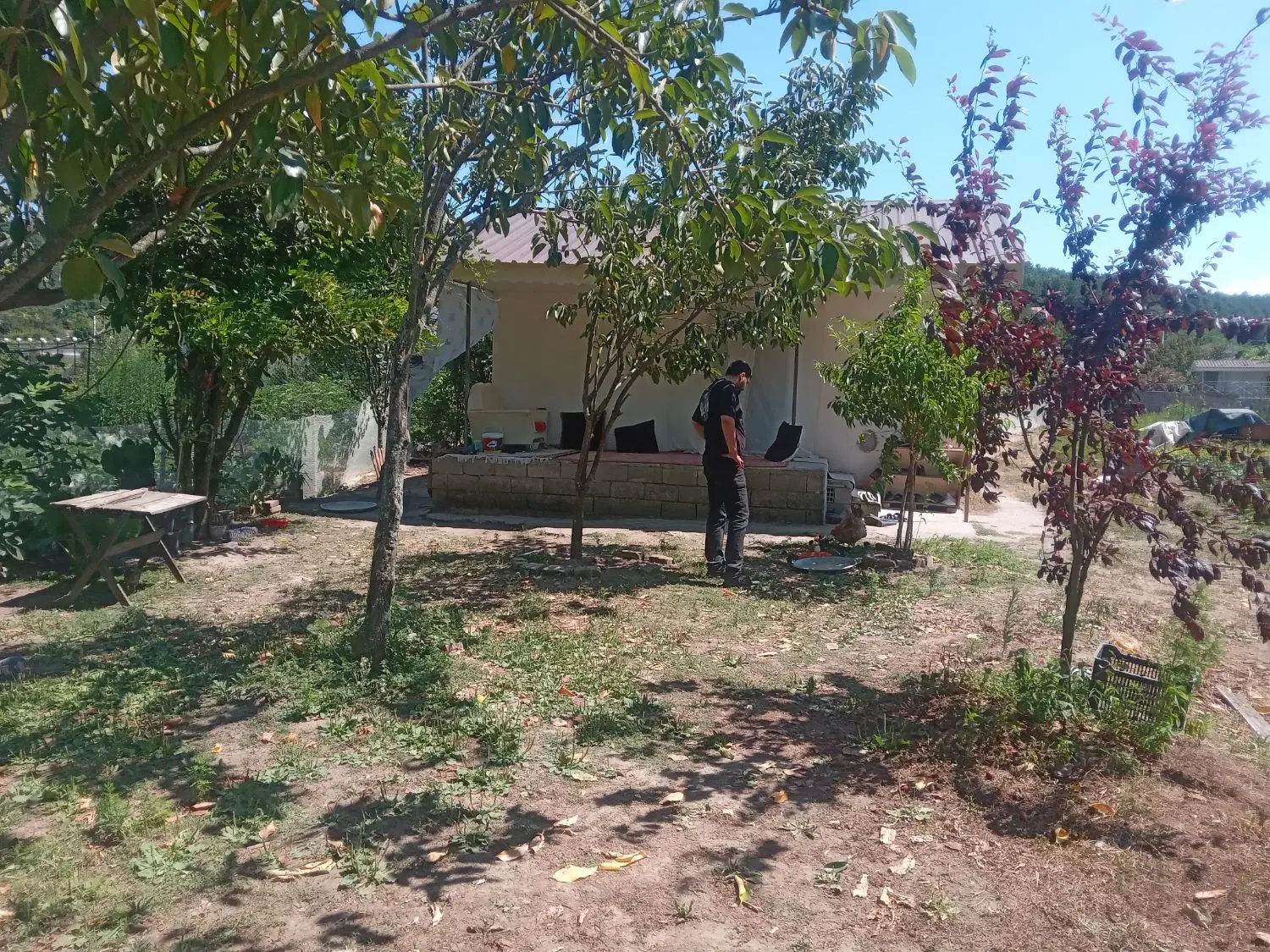 فروش باغ کیوی