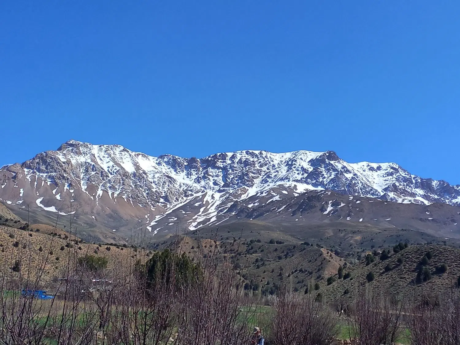 زمین کشاورزی