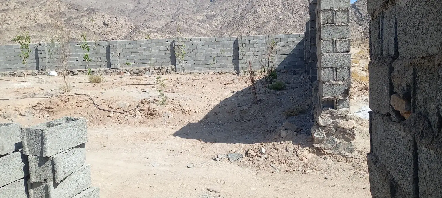 زمین چهار دیوار با درخت