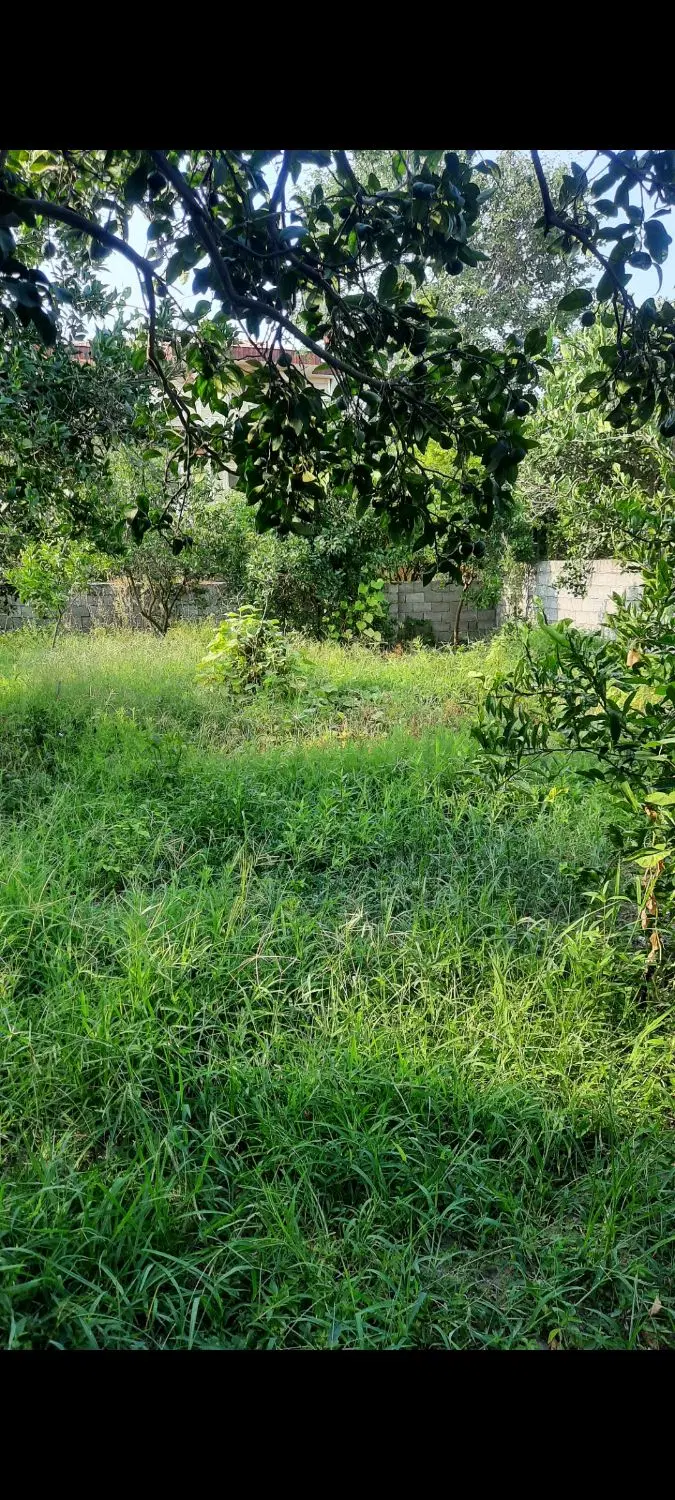 یک قطعه زمین ۳۵۳ متر با بافت مسکونی