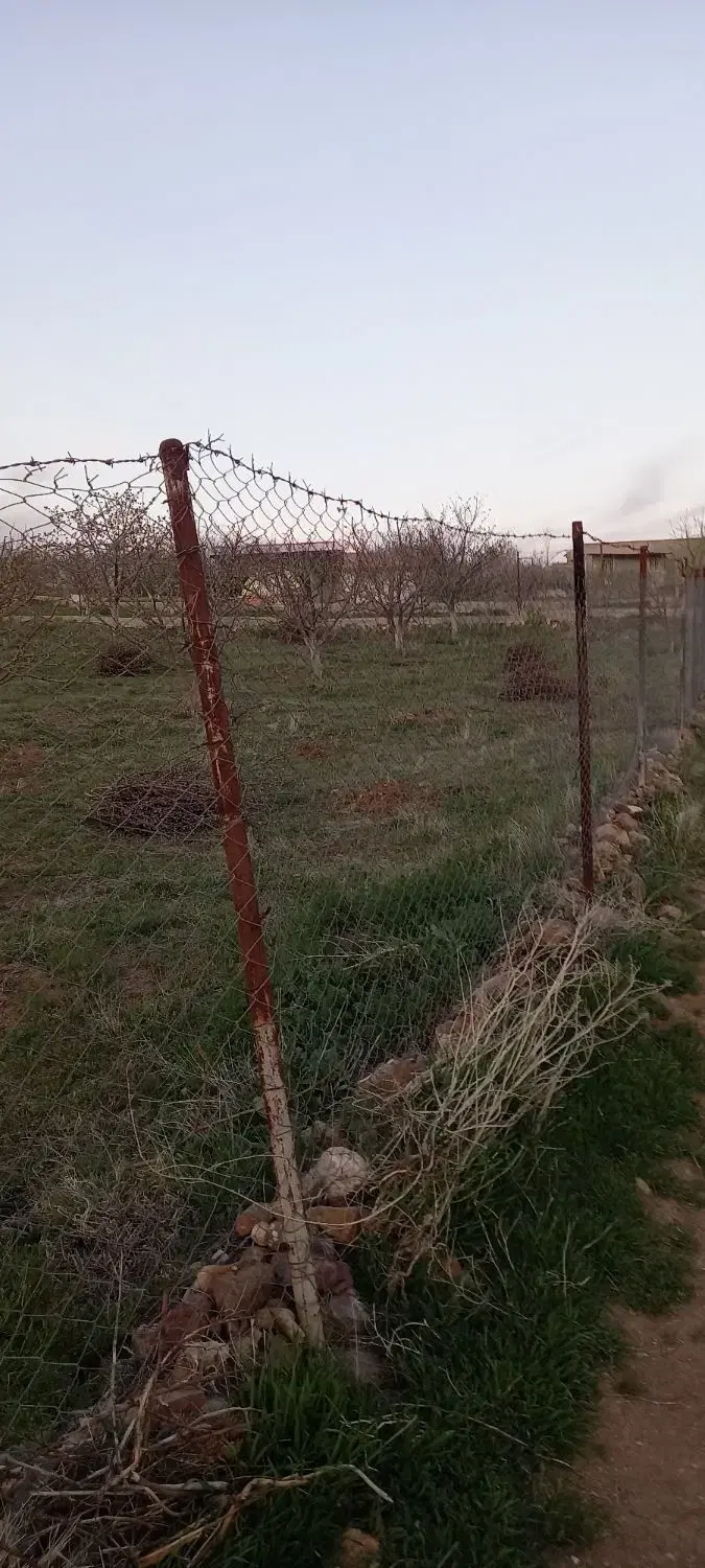 باغ دراهر روستای پسته بیگ