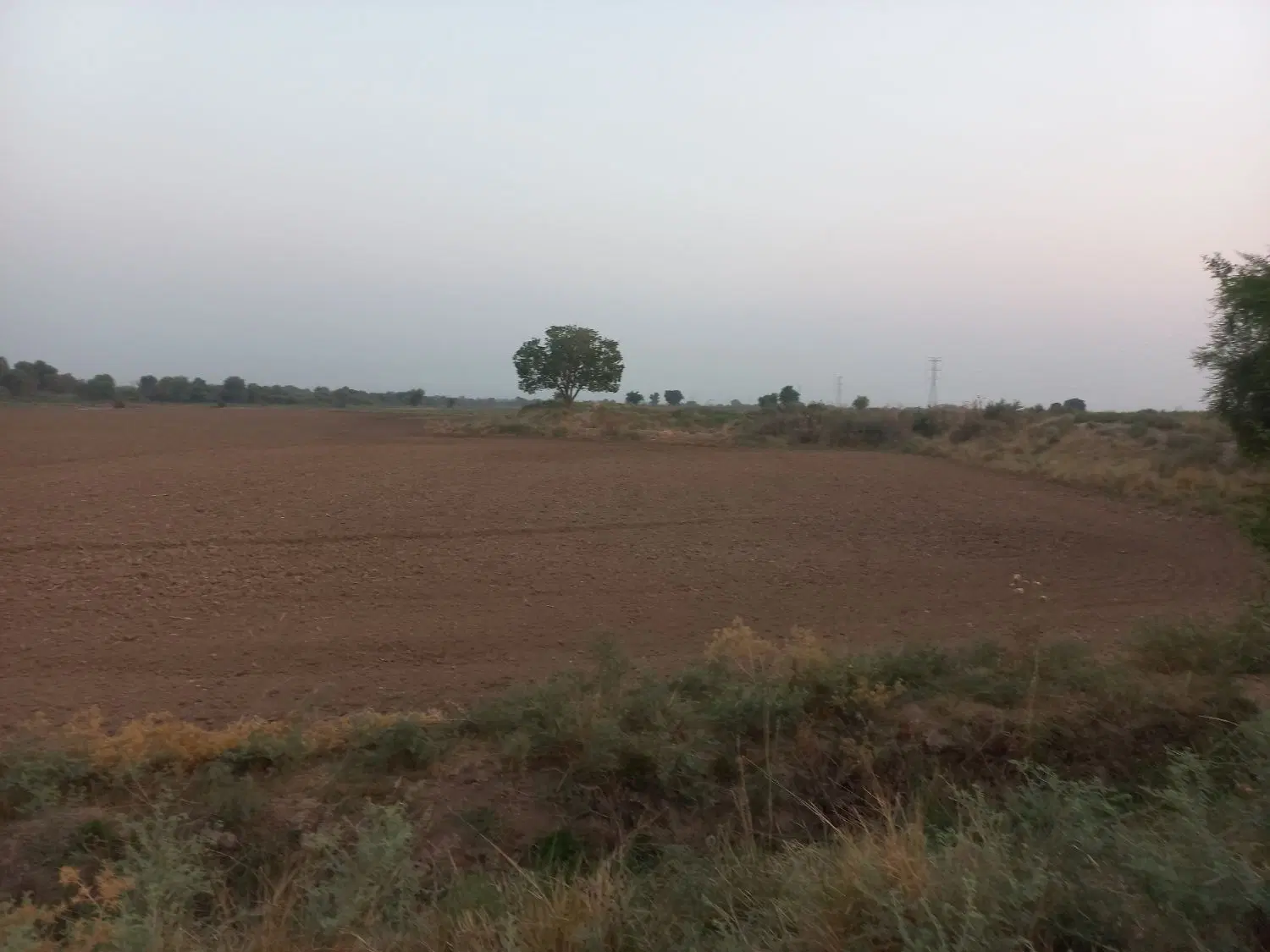 فروش زمین