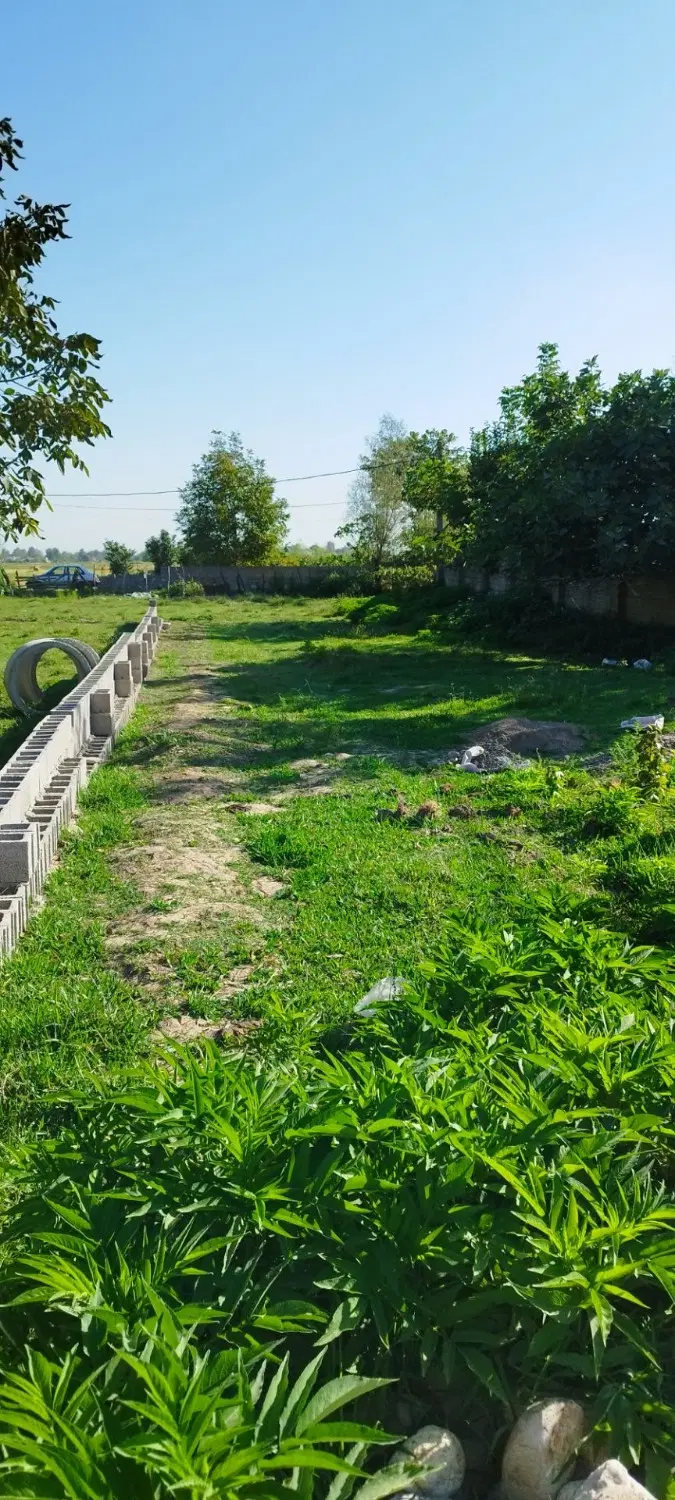 زمین مسکونی