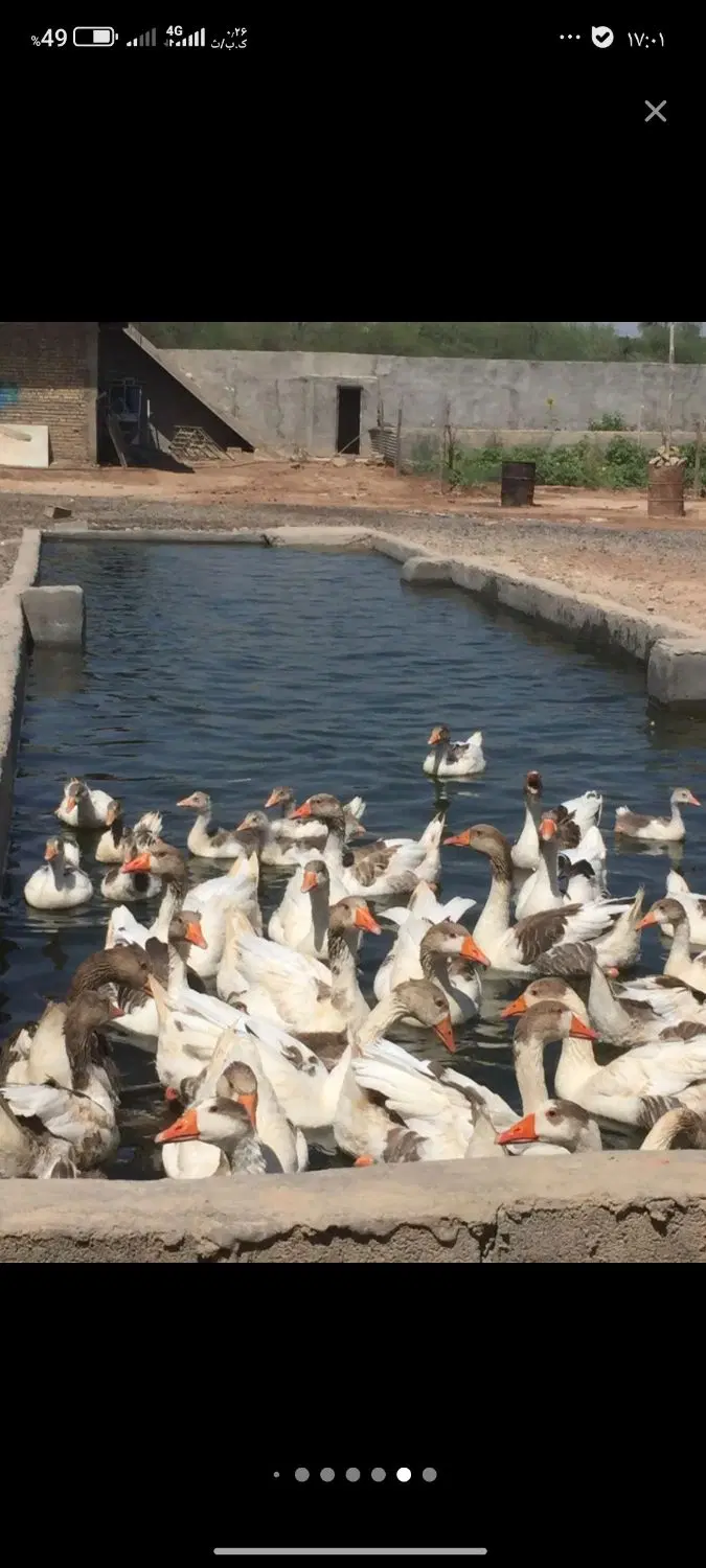 جهت اجاره