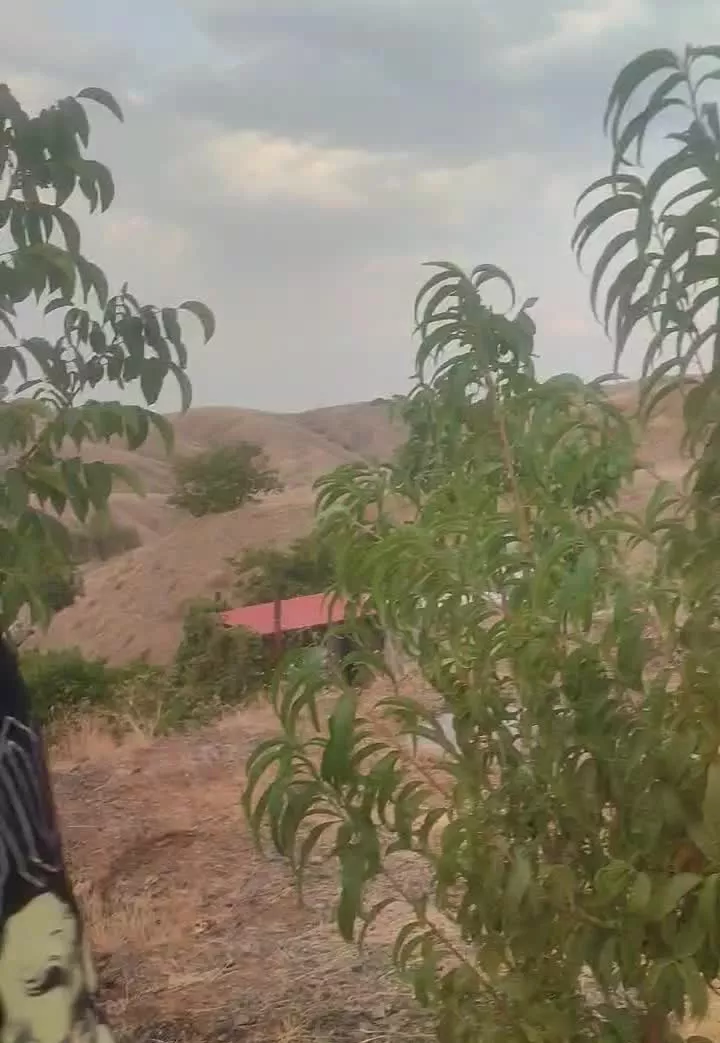 باغ و زمین های زراعی و باغچه