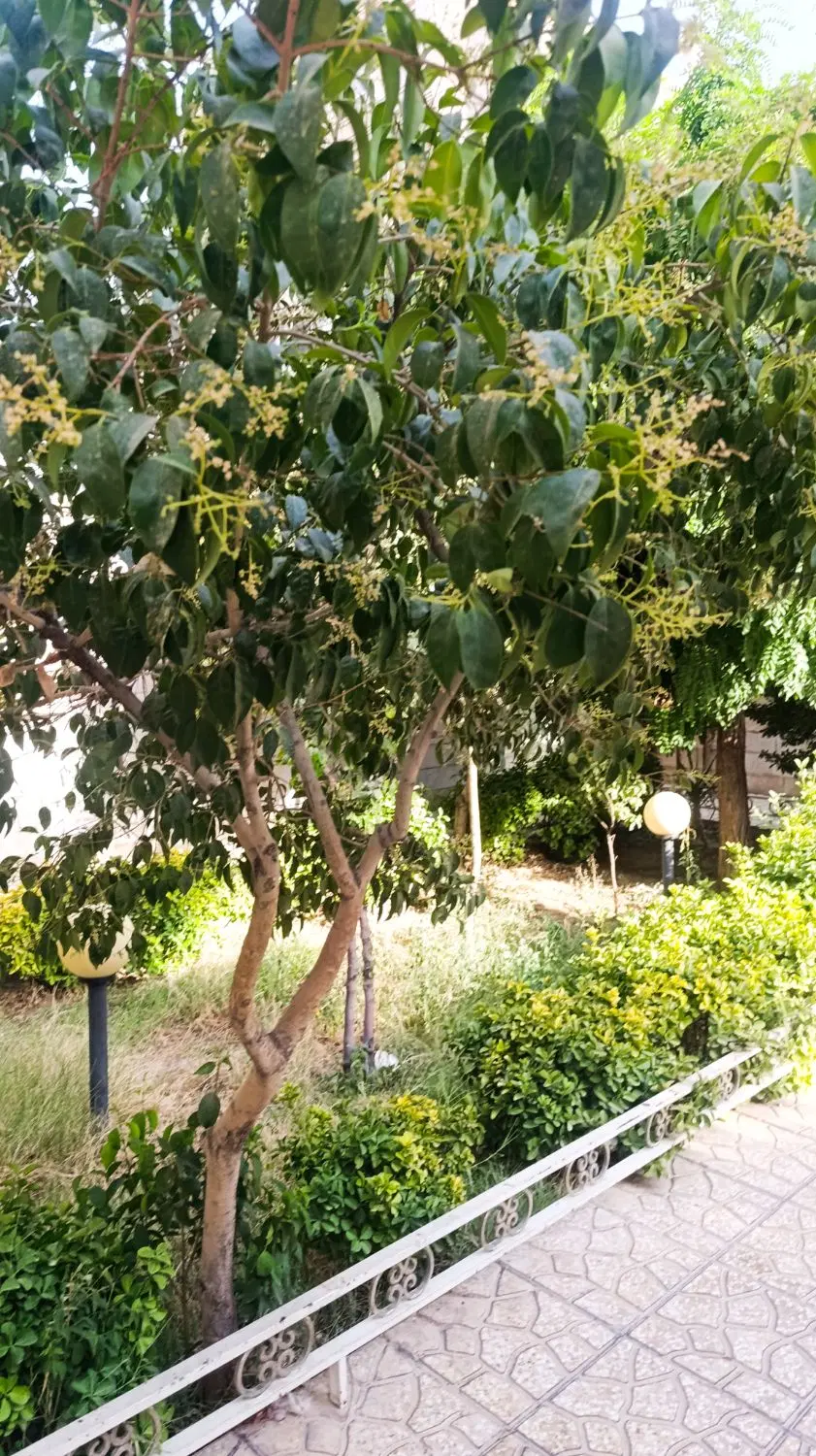 ۹۶ متر مشارکت بروجردی تک مالک