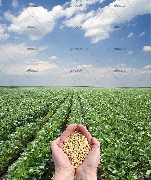 ۷ هکتار زمین کشاورزی
