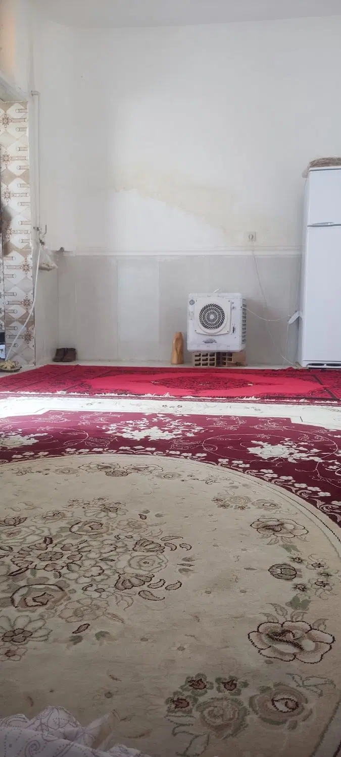 همخونه خانم