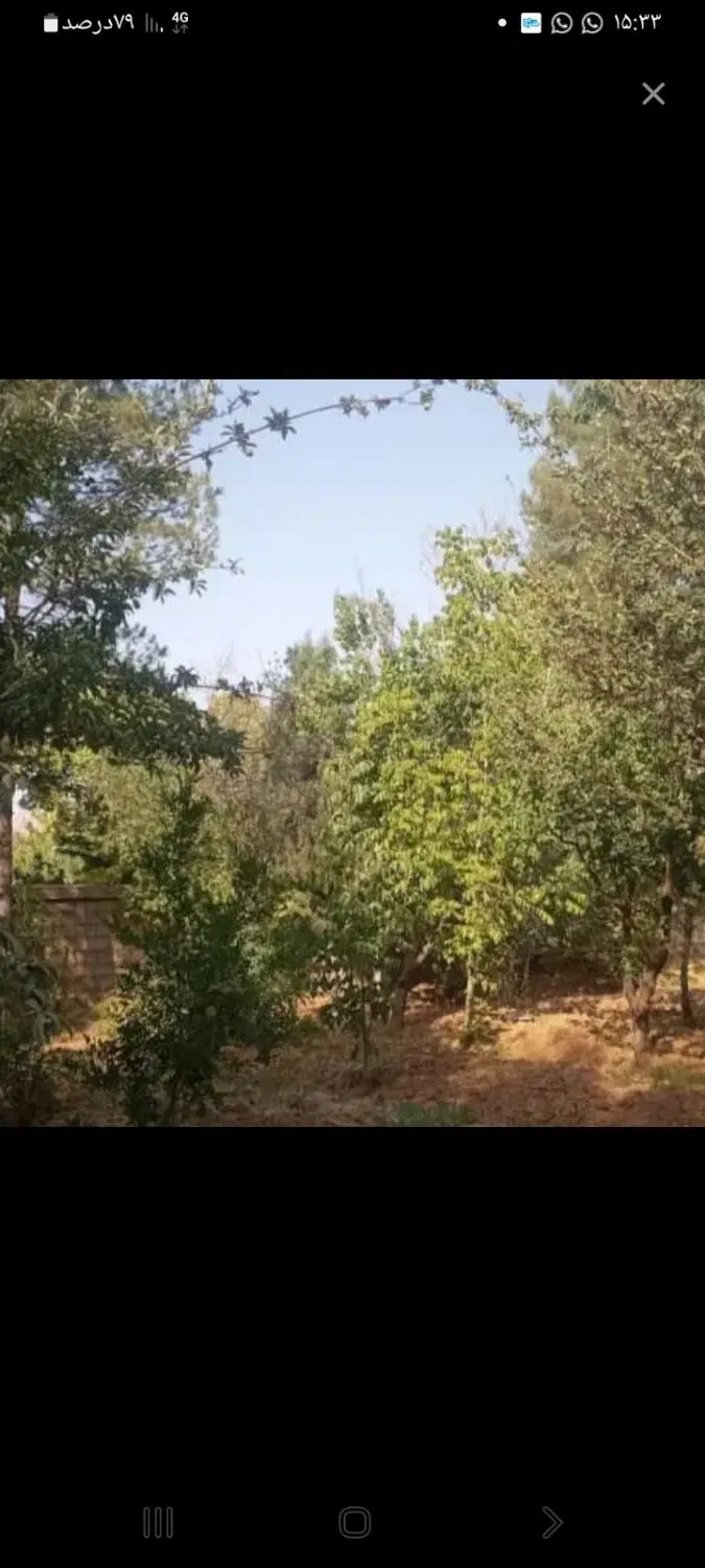 باغچه  باغ گویم