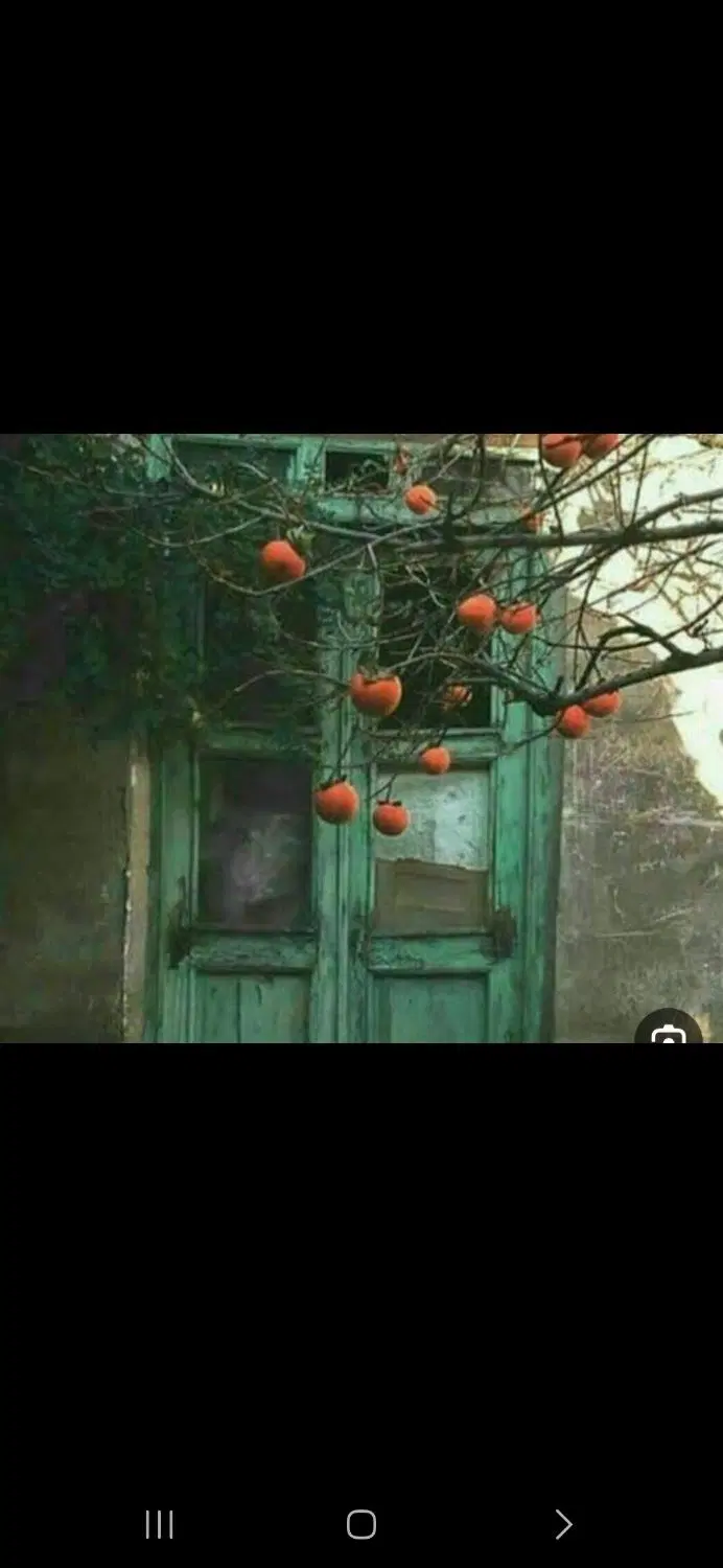واحد دربست در طبقه ی اول