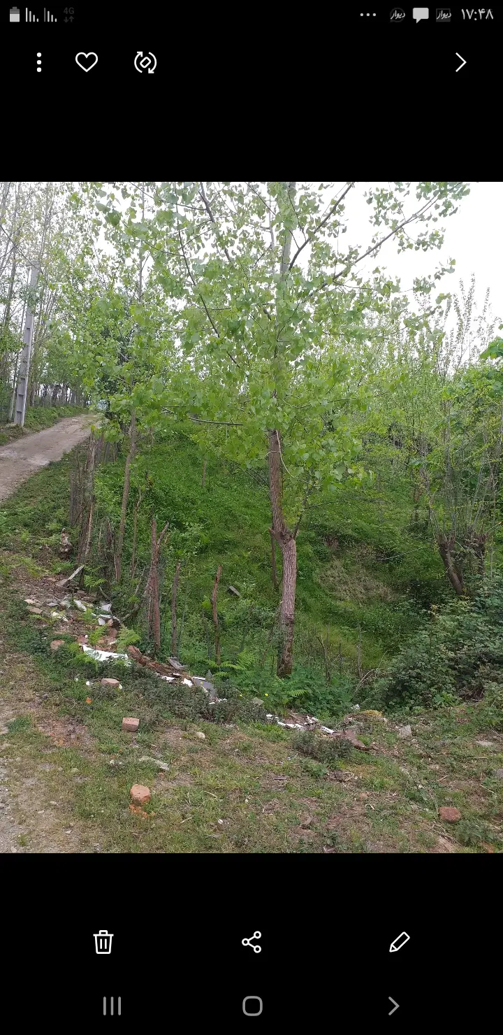 فروش‌زمین