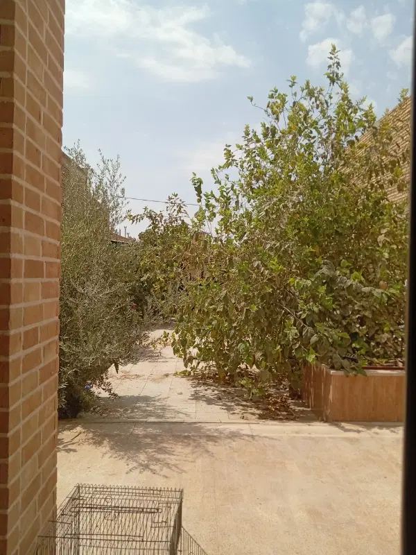 زمین تجاری جنب سنتو