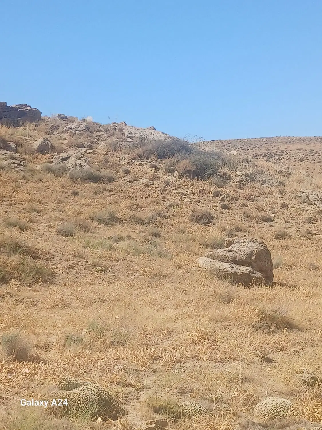زمین بلوارشهیدبهشتی ۸
