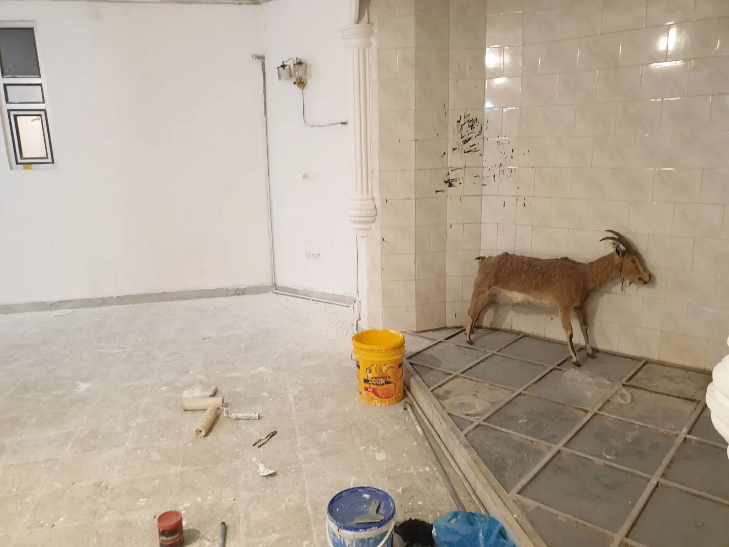 ویلای ۲۳۰متر اندیشه ۷