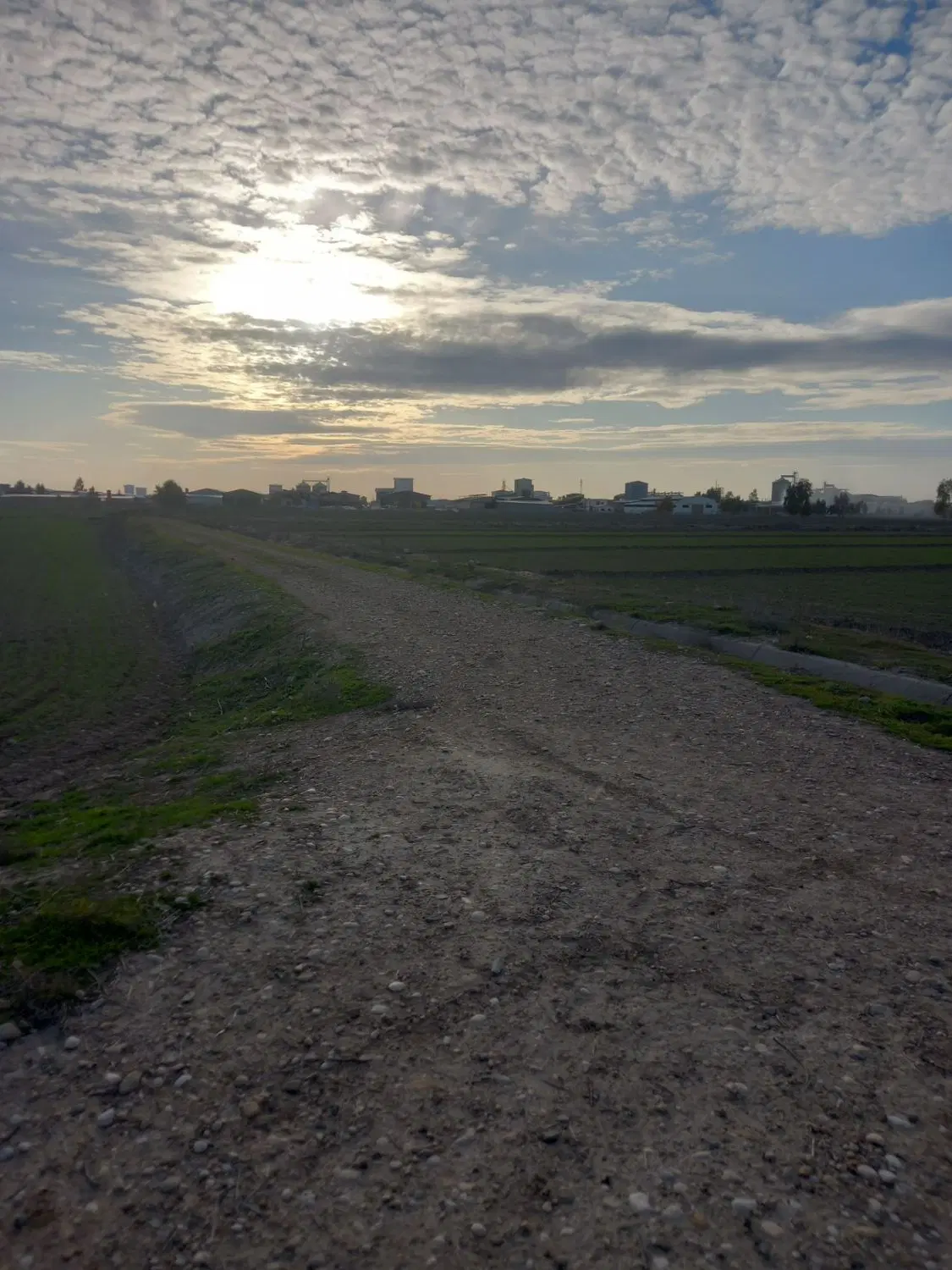 زمین کشاورزی  جنب شهرک صنعتی گنبد کاووس