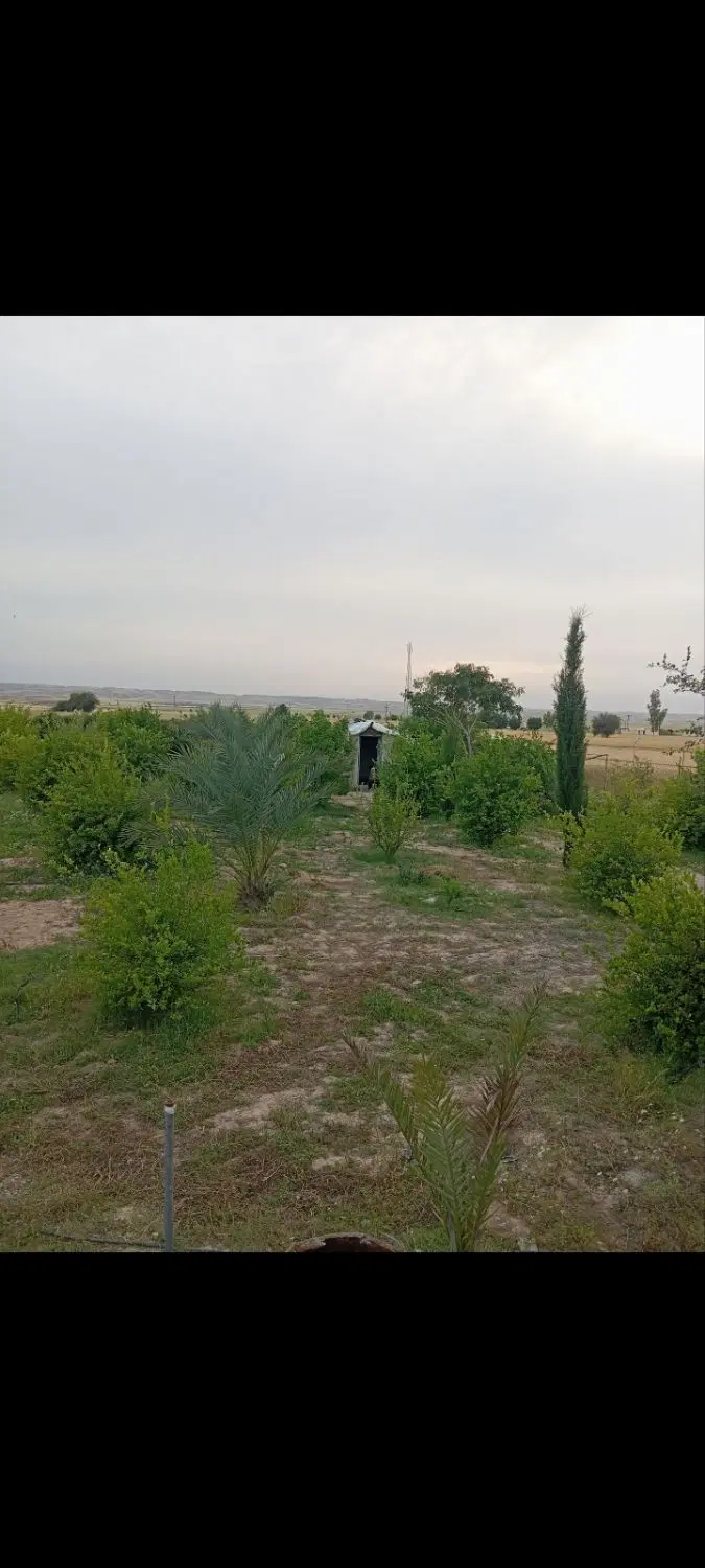 فروش زمین باغی سند تک برگ باغی