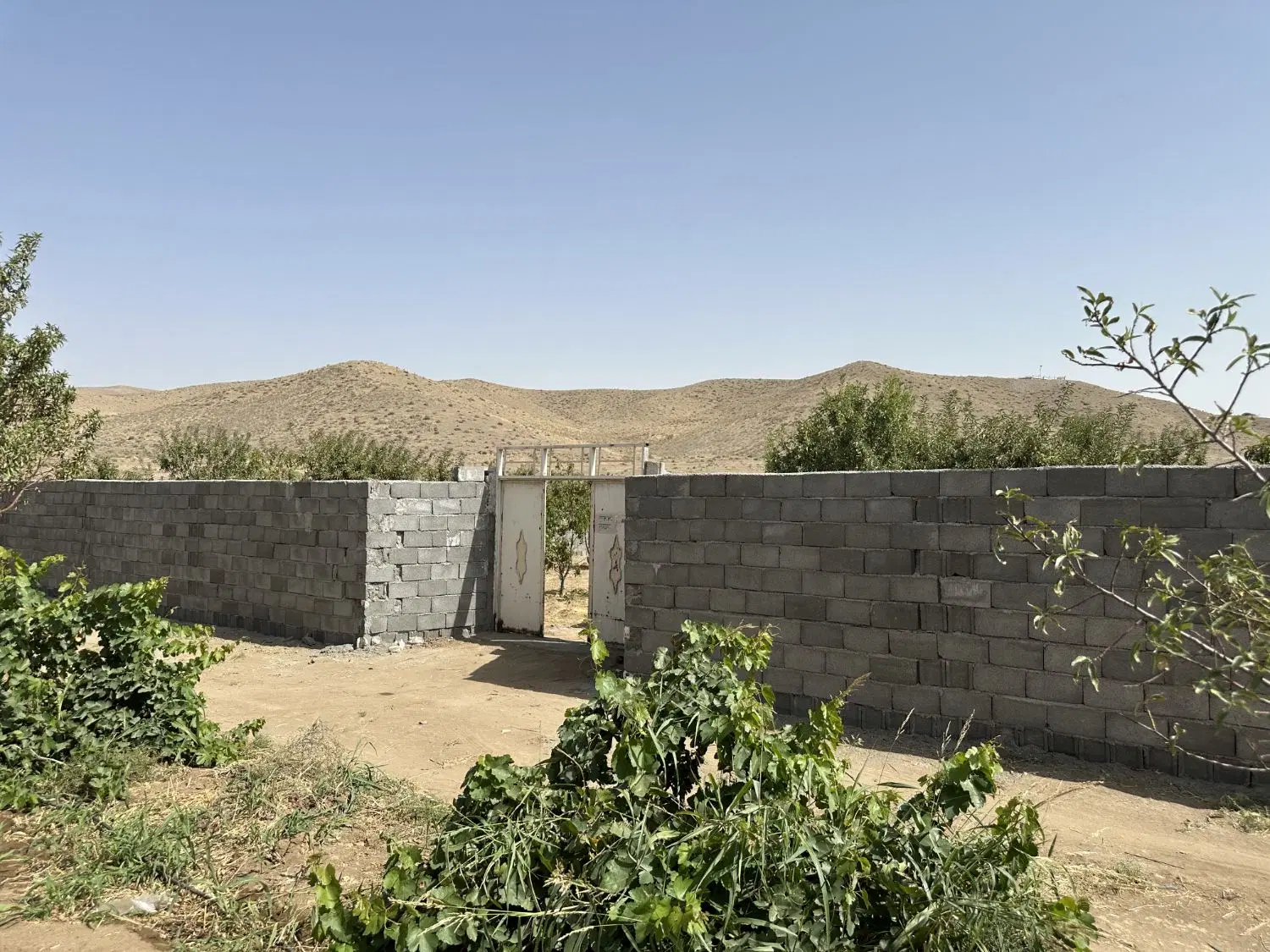 باغچه چهاردیواری