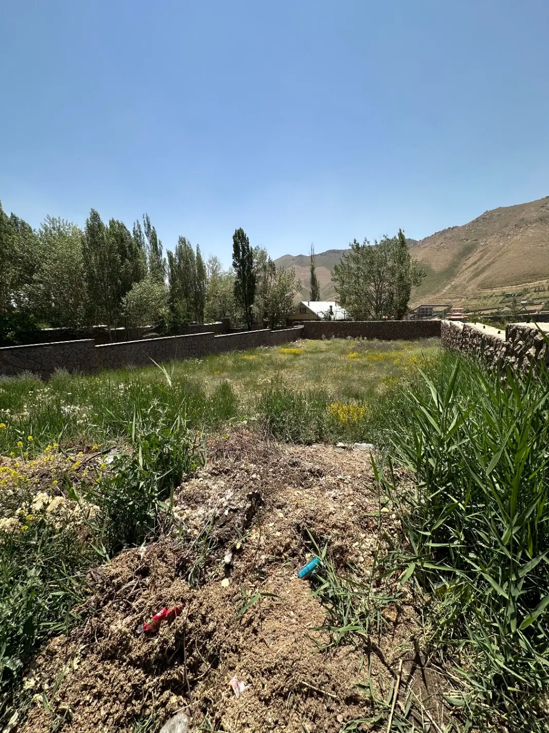 ۲۰۰۰مترزمین دماونددشت مشاء