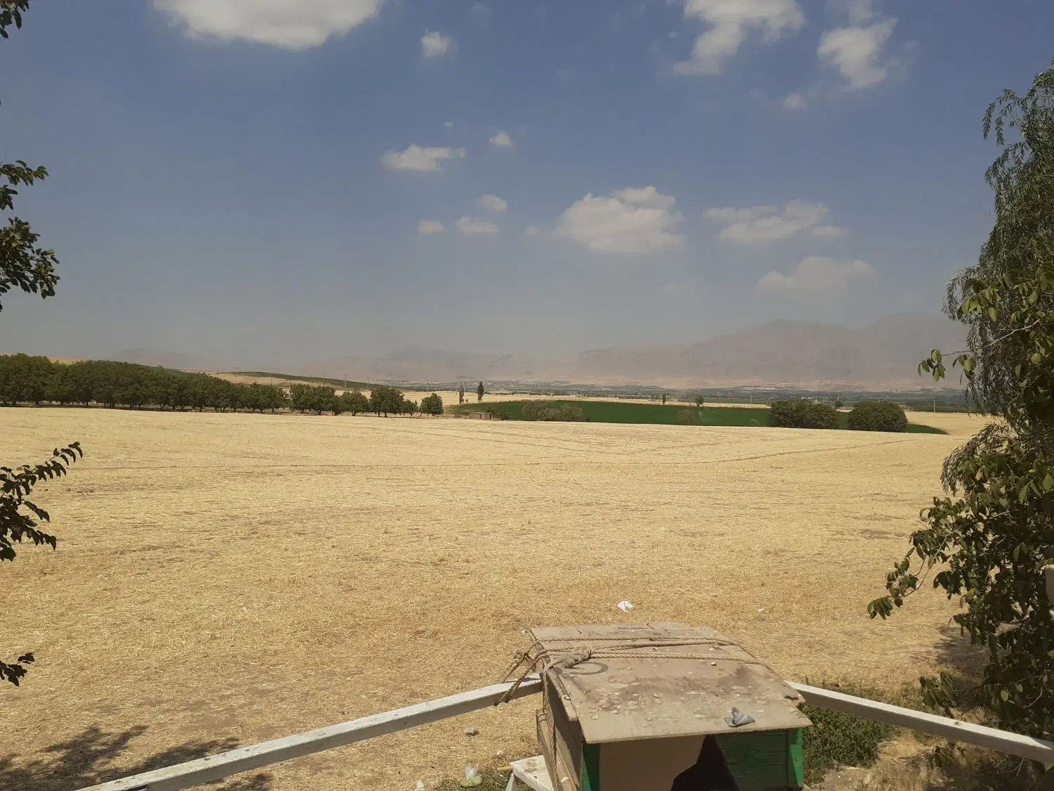 اجاره زمین کشاورزی