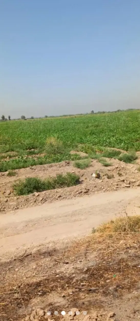 زمین ویلایی