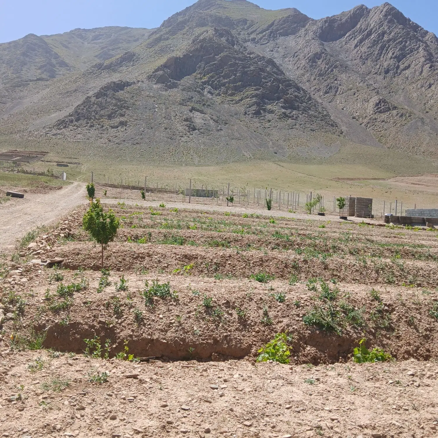 زمین باغ