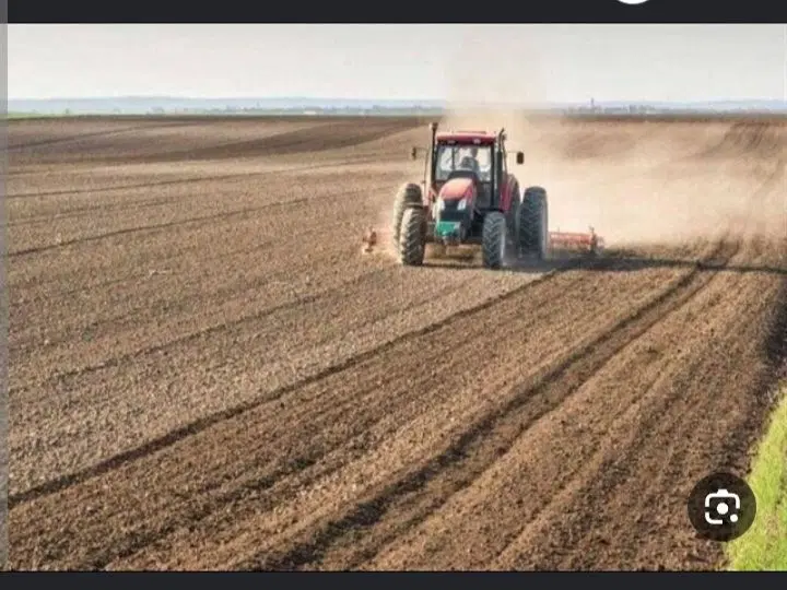 شراکت لوبیا ۴ هکتار