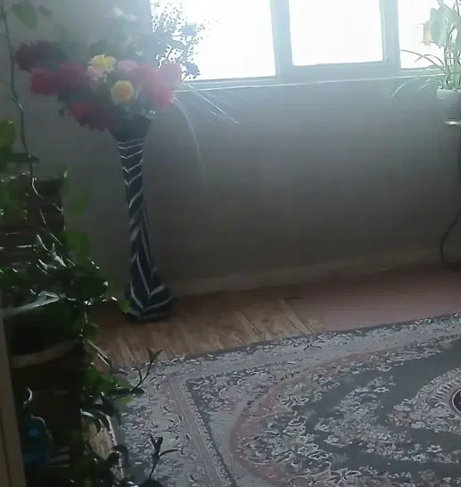 همخونه ی خانم