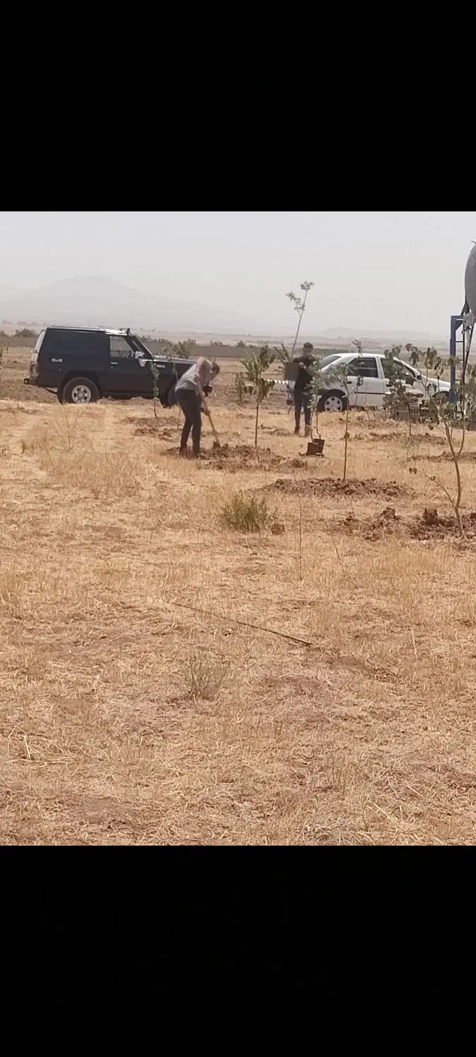 زمین مزروعی پانصد متر