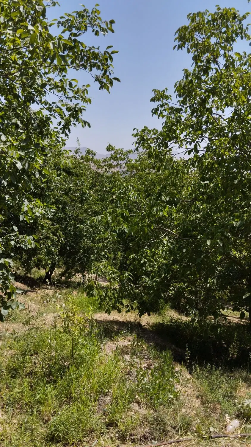 فروش زمین