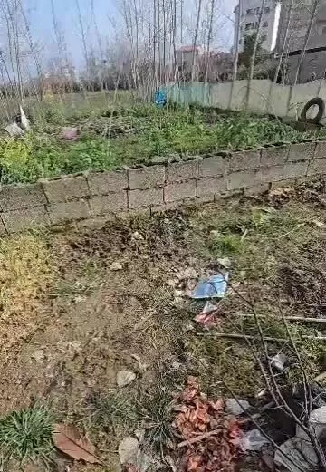 ۵۱۵ متر زمین مسکونی شفت کوچه تقی زاده
