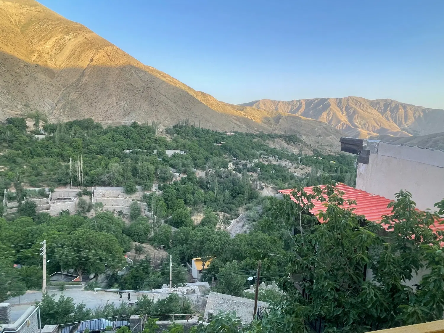 لواسان بزرگ داخل بافت نیکنامده